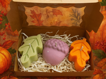 Set Magia Toamnei
