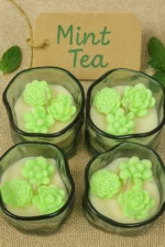 Colecție de lumânări parfumate Mint Tea cu suculente din ceară