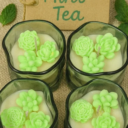 Colecție de lumânări parfumate Mint Tea cu suculente din ceară